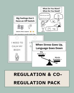 Preview image of the Visual Foundations™ Regulation & Co-Regulation Pack featuring sample posters and visual supports about emotional regulation, communication during stress, calming strategies, co-regulation, and identifying needs during challenging moments.